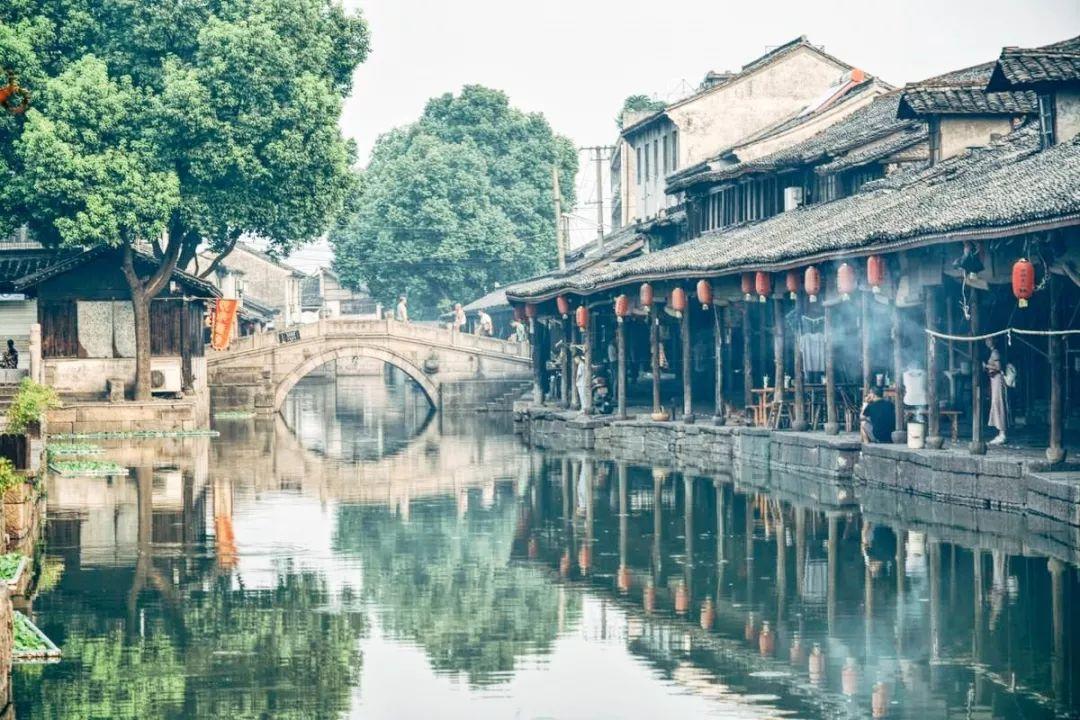 救援可爱小猪仔